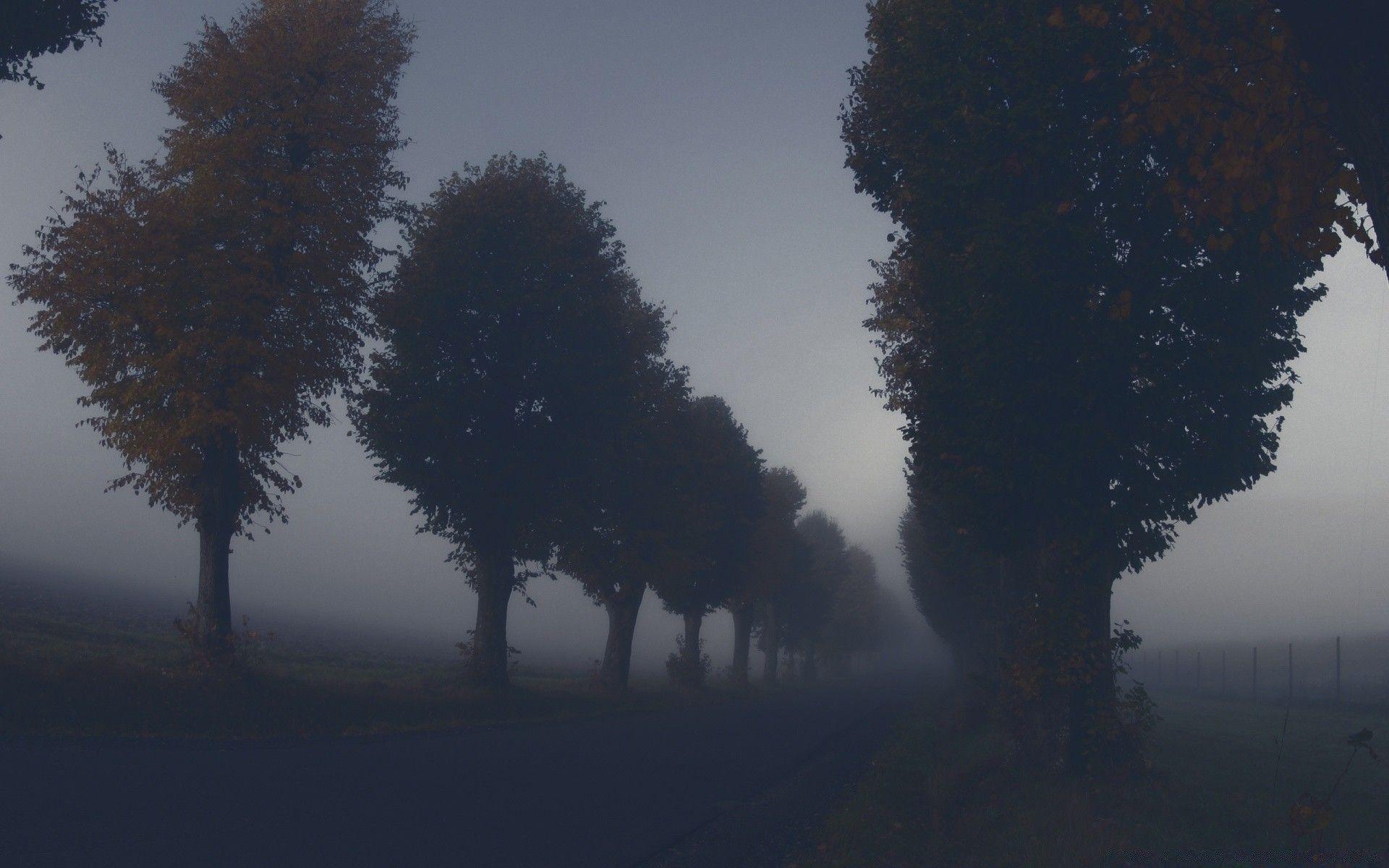 Dark Autumn Wallpapers Top Free Dark Autumn Backgrounds WallpaperAccess