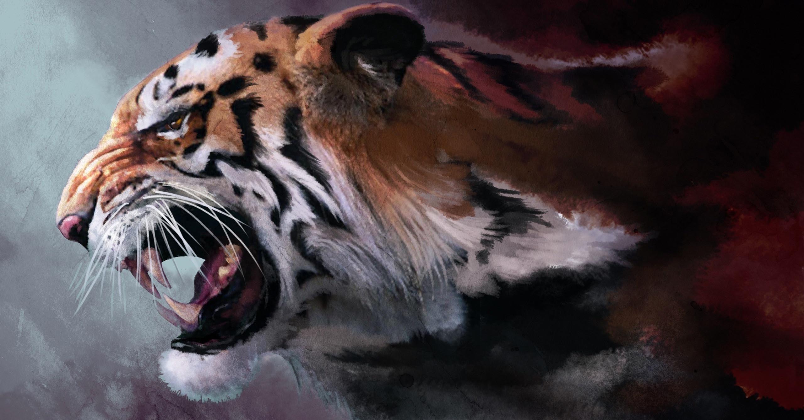 Angry Tiger Wallpapers Top Free Angry Tiger Backgrounds WallpaperAccess