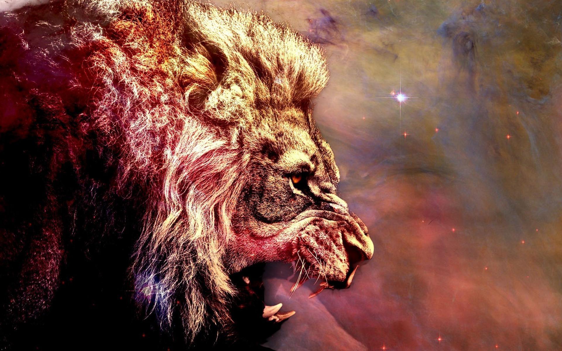 Space Lion Wallpapers Top Free Space Lion Backgrounds WallpaperAccess