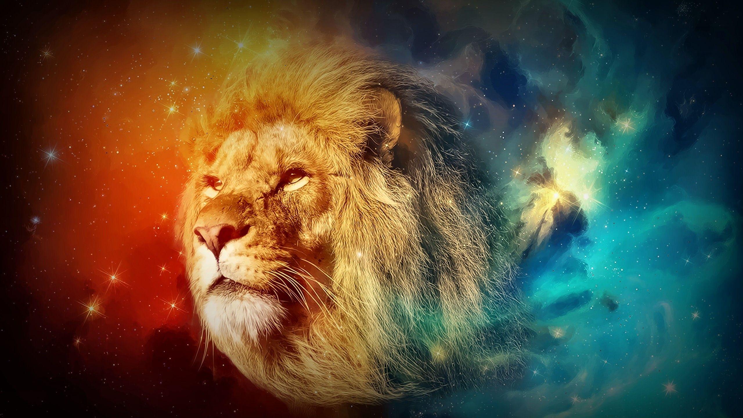 Space Lion Wallpapers Top Free Space Lion Backgrounds WallpaperAccess