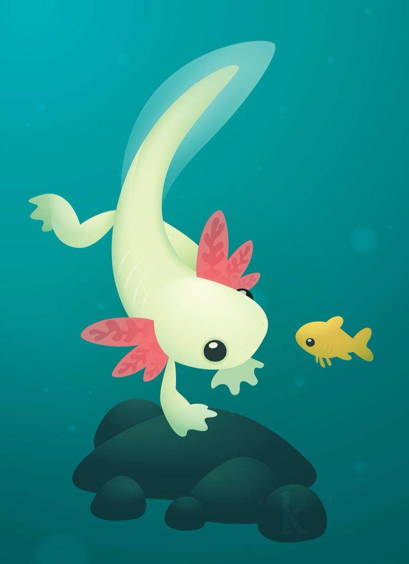 Axolotl Wallpapers Top Free Axolotl Backgrounds WallpaperAccess