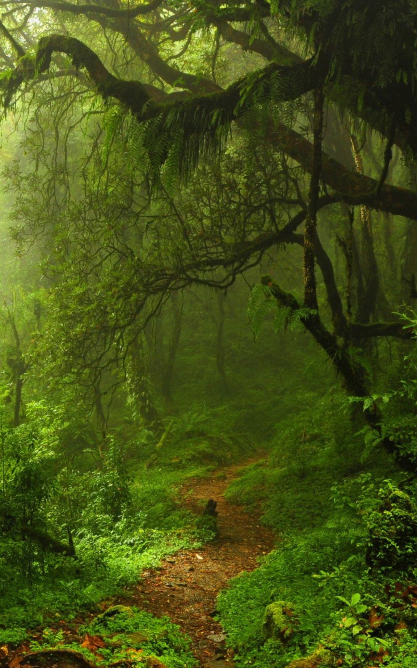 Nature 4k Phone Wallpapers Top Free Nature 4k Phone Backgrounds