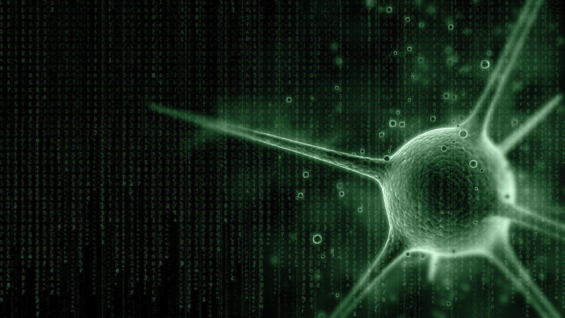 Computer Virus Wallpapers Top Free Computer Virus Backgrounds