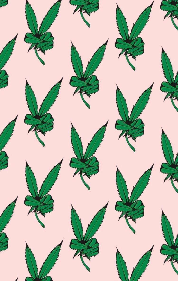 Weed Aesthetic Wallpapers Top Free Weed Aesthetic Backgrounds WallpaperAccess