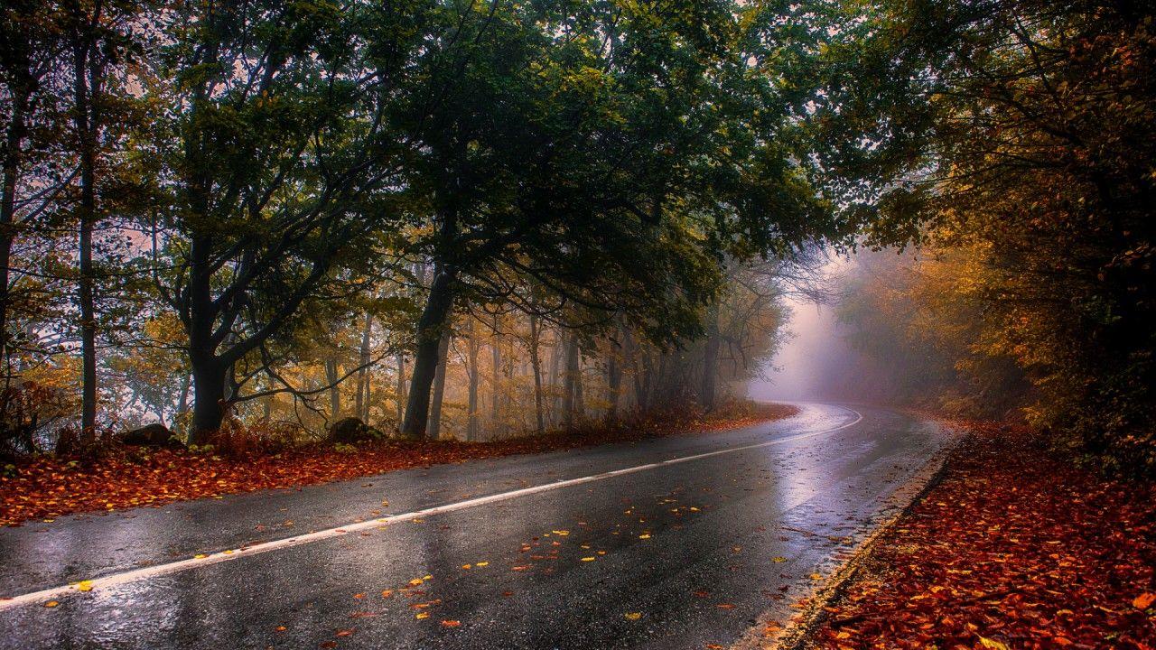 Rainy Road Wallpapers Top Free Rainy Road Backgrounds WallpaperAccess
