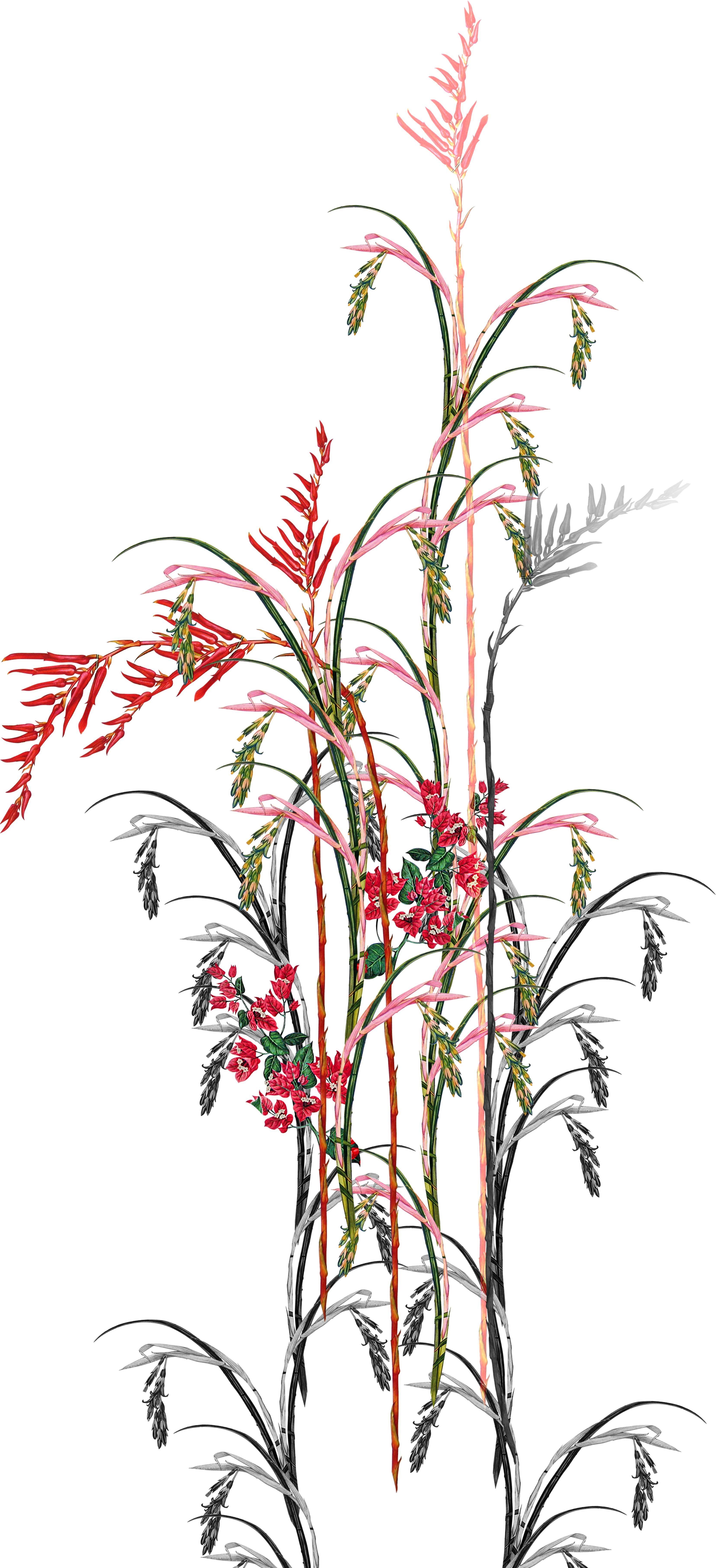 Chinese Flower Wallpapers Top Free Chinese Flower Backgrounds