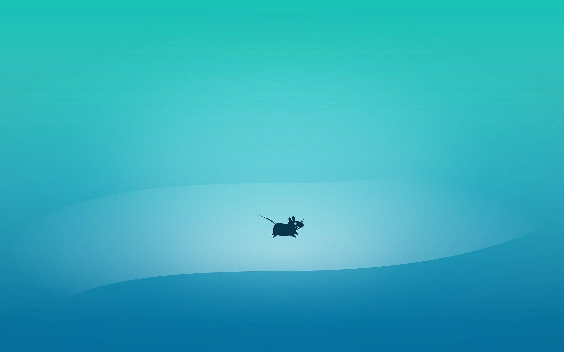 Xfce Wallpapers Top Free Xfce Backgrounds WallpaperAccess