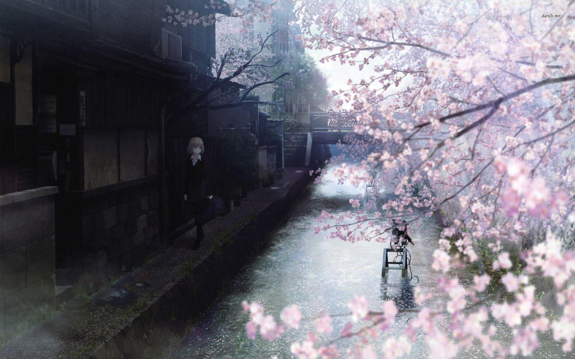 Cherry Blossom Tree Anime Wallpapers Top Free Cherry Blossom Tree Anime Backgrounds