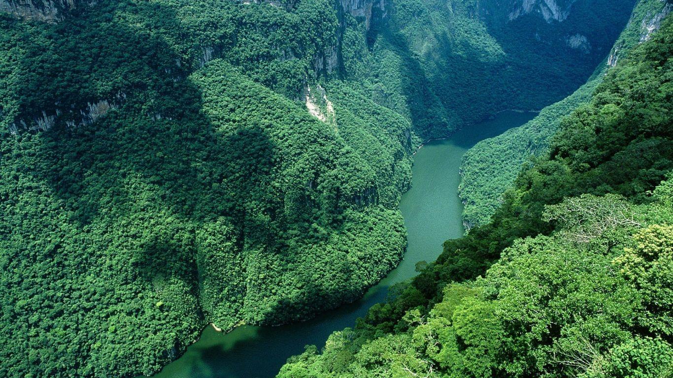 Amazon River Wallpapers Top Free Amazon River Backgrounds