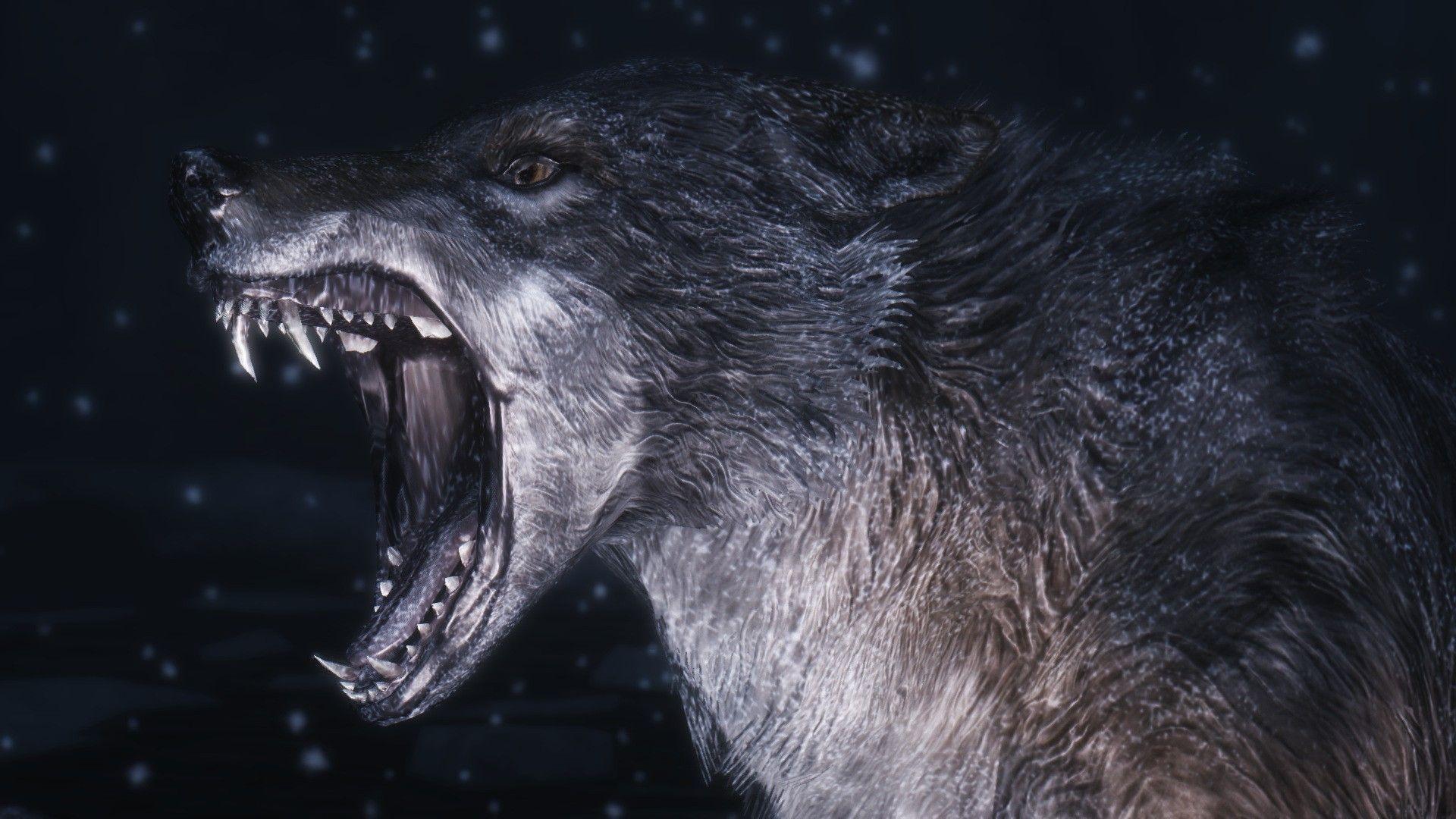 Evil Wolf Wallpapers Top Free Evil Wolf Backgrounds WallpaperAccess