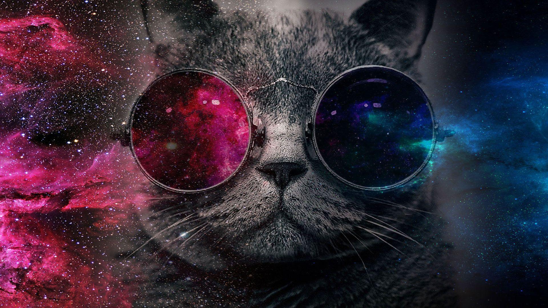 Galaxy Cat Wallpapers Top Free Galaxy Cat Backgrounds WallpaperAccess