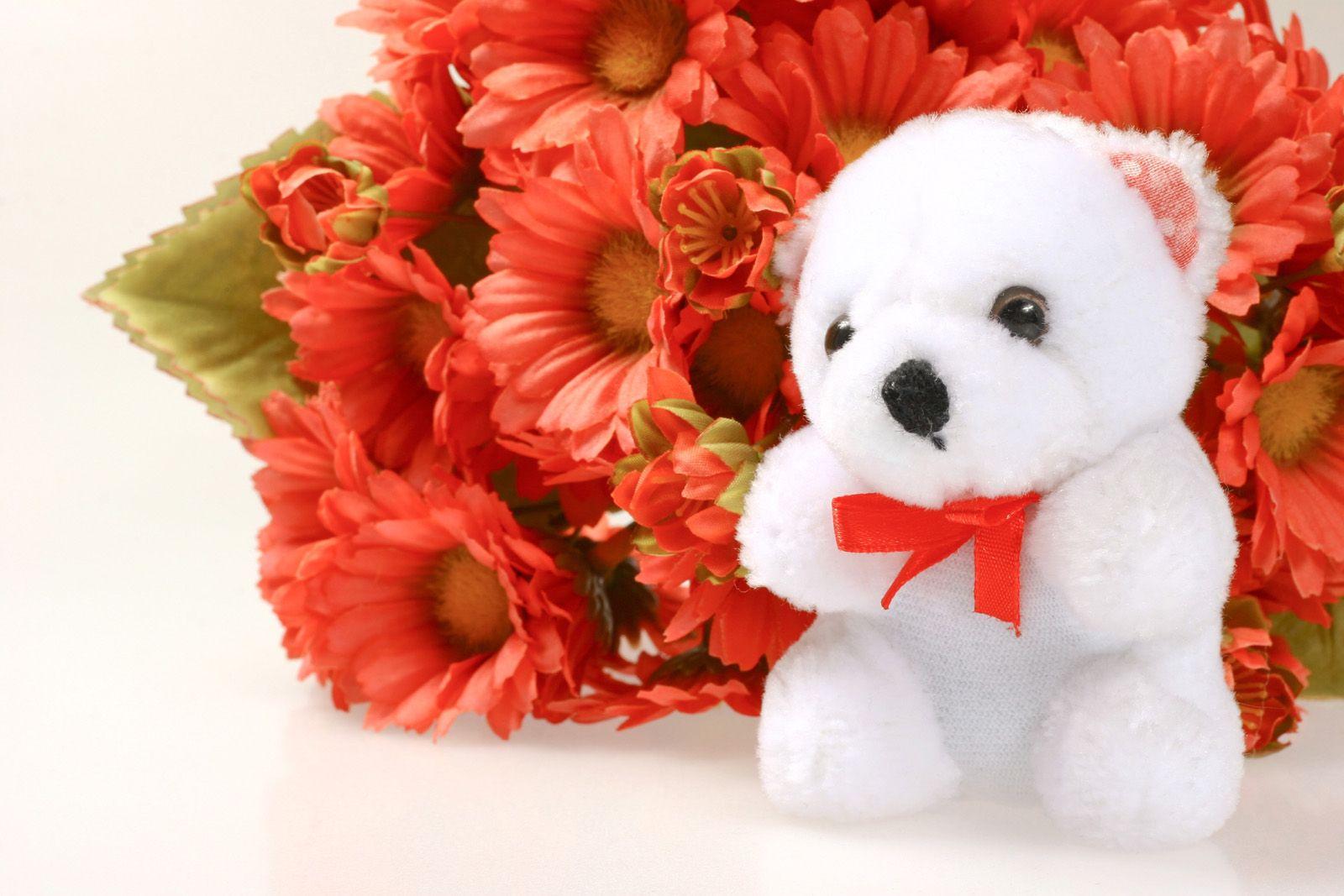 Flower Teddy Bear Wallpapers Top Free Flower Teddy Bear Backgrounds WallpaperAccess