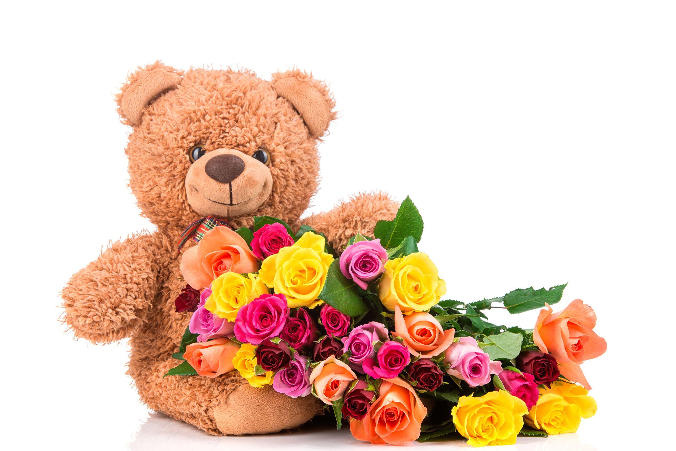 Flower Teddy Bear Wallpapers Top Free Flower Teddy Bear Backgrounds WallpaperAccess