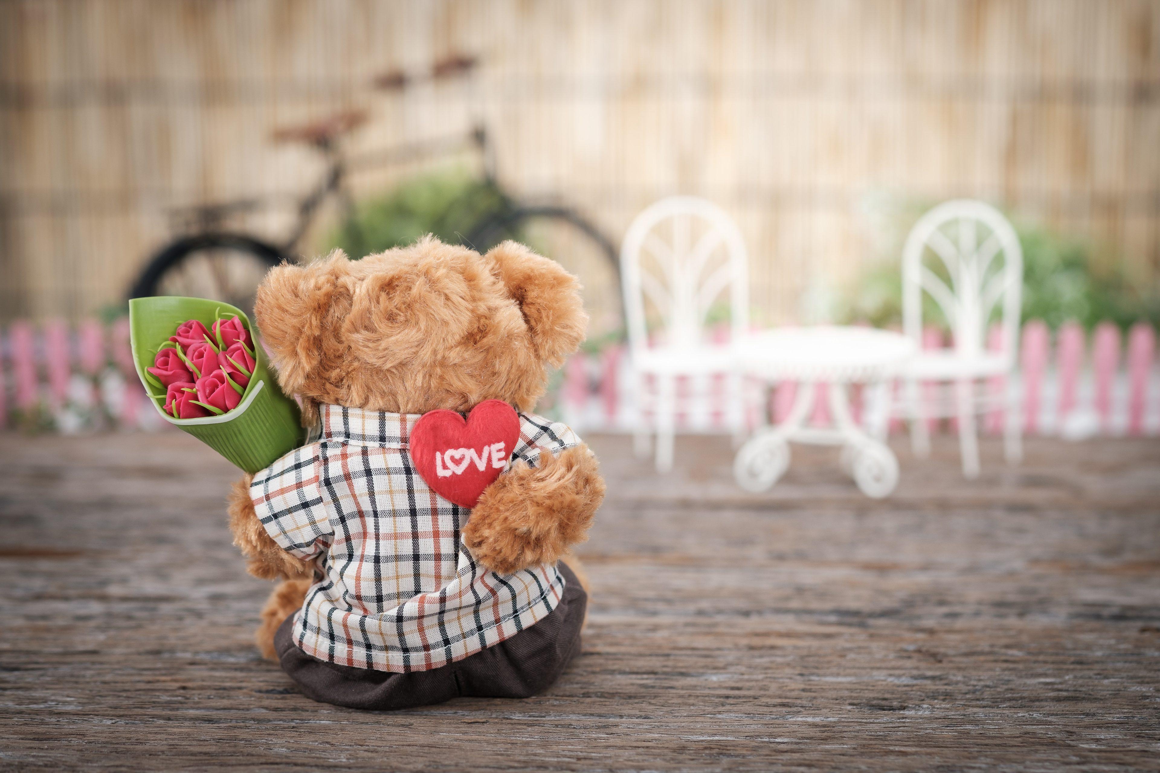 Flower Teddy Bear Wallpapers Top Free Flower Teddy Bear Backgrounds WallpaperAccess