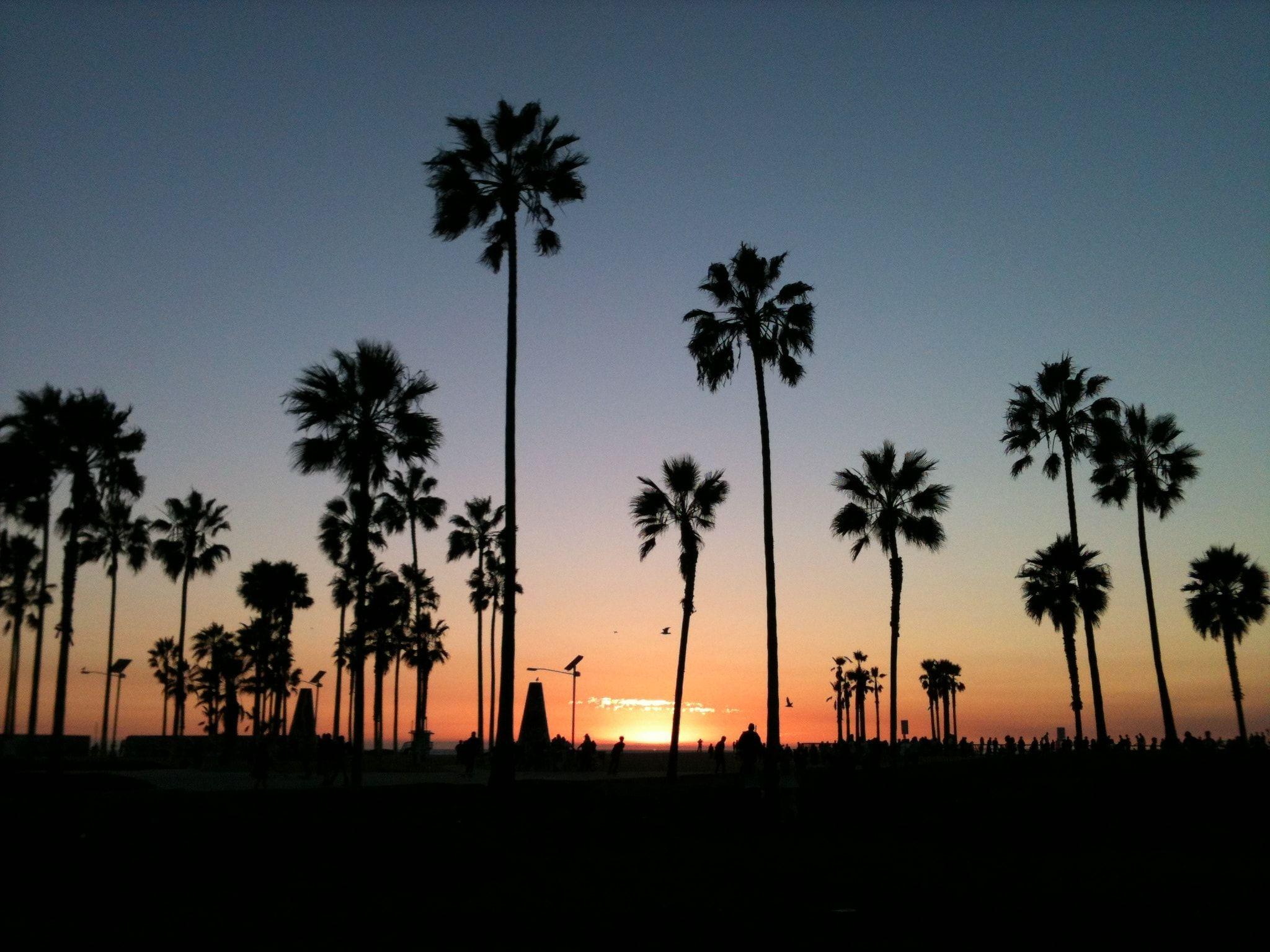Cali Wallpapers Top Free Cali Backgrounds WallpaperAccess