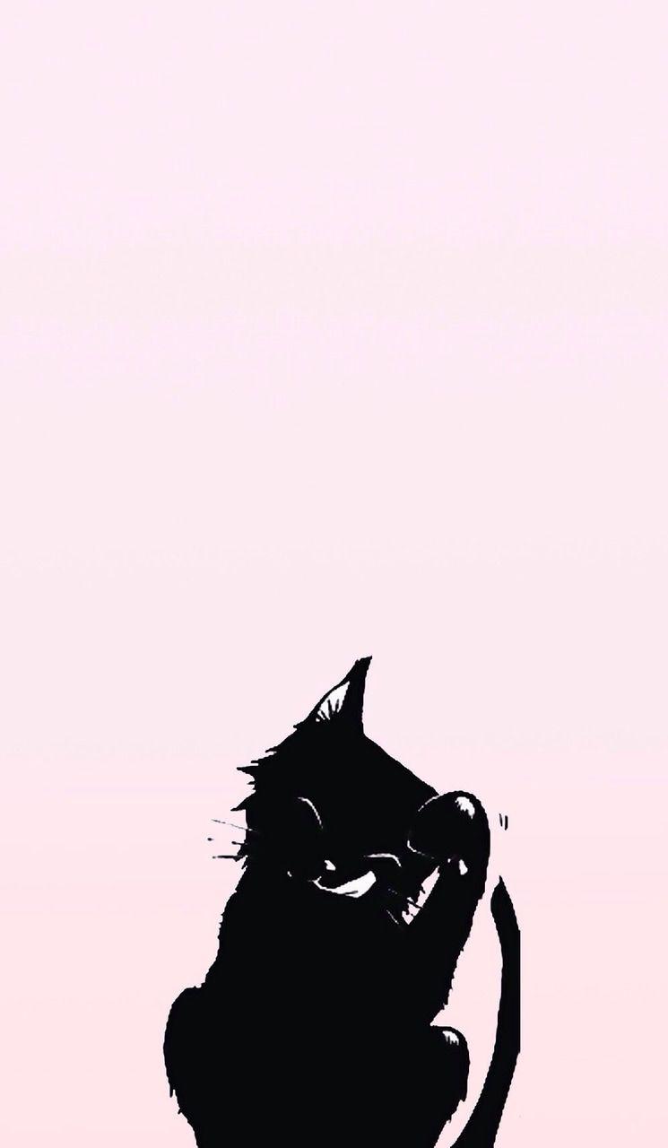 Aesthetic Black Cat Wallpapers Top Free Aesthetic Black