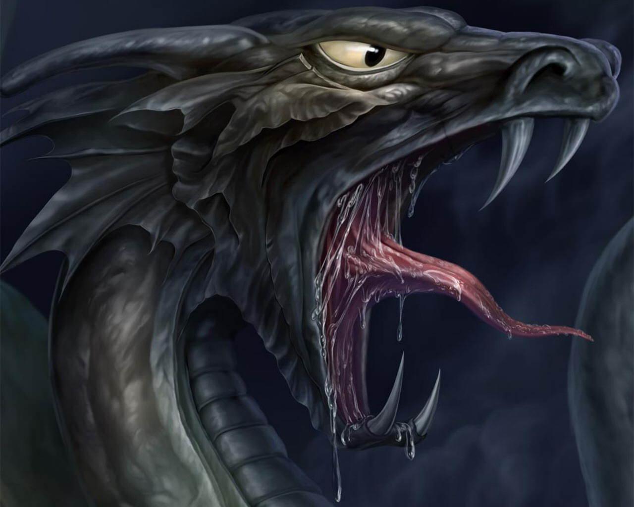 Gothic Dragon Wallpapers Top Free Gothic Dragon Backgrounds