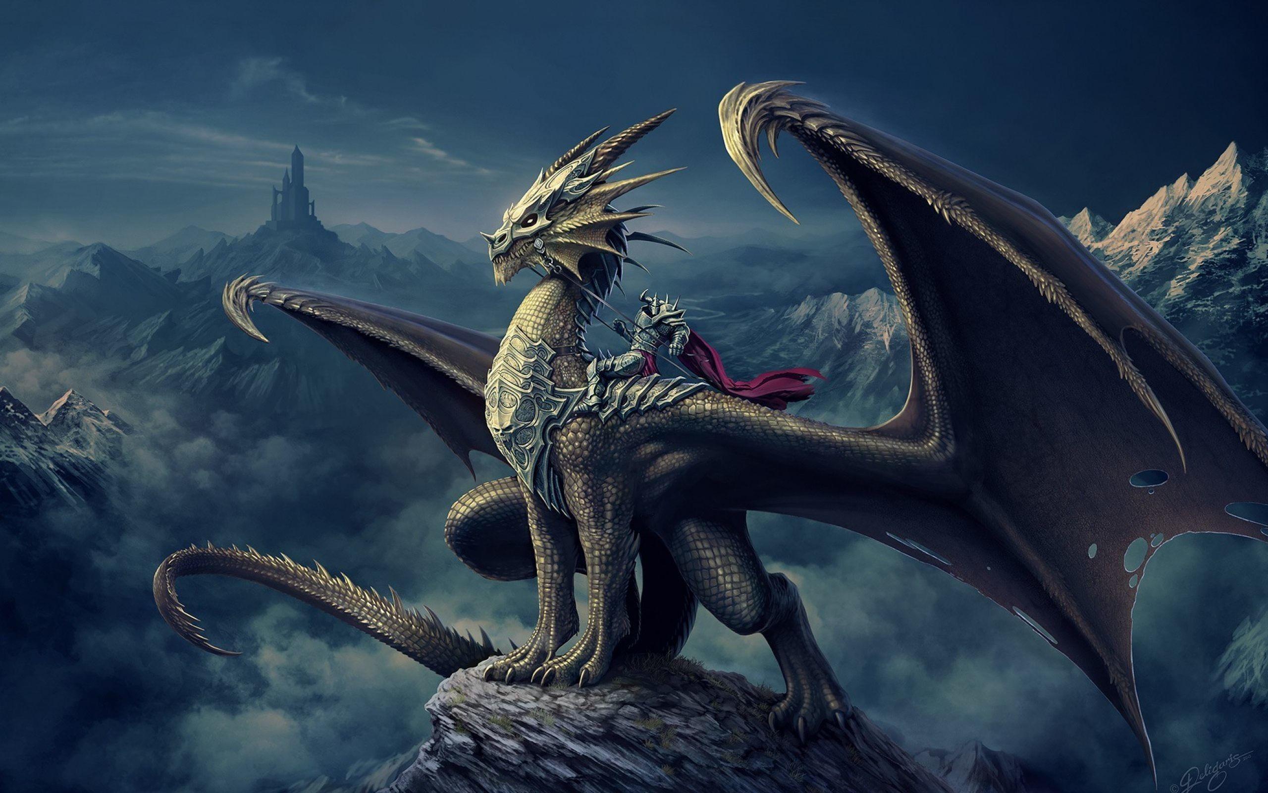 Gothic Dragon Wallpapers Top Free Gothic Dragon Backgrounds