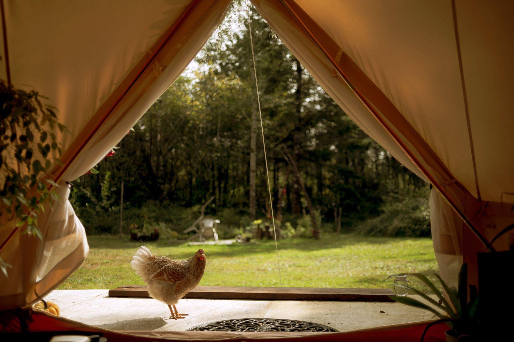 Cottagecore Wallpapers Top Free Cottagecore Backgrounds WallpaperAccess