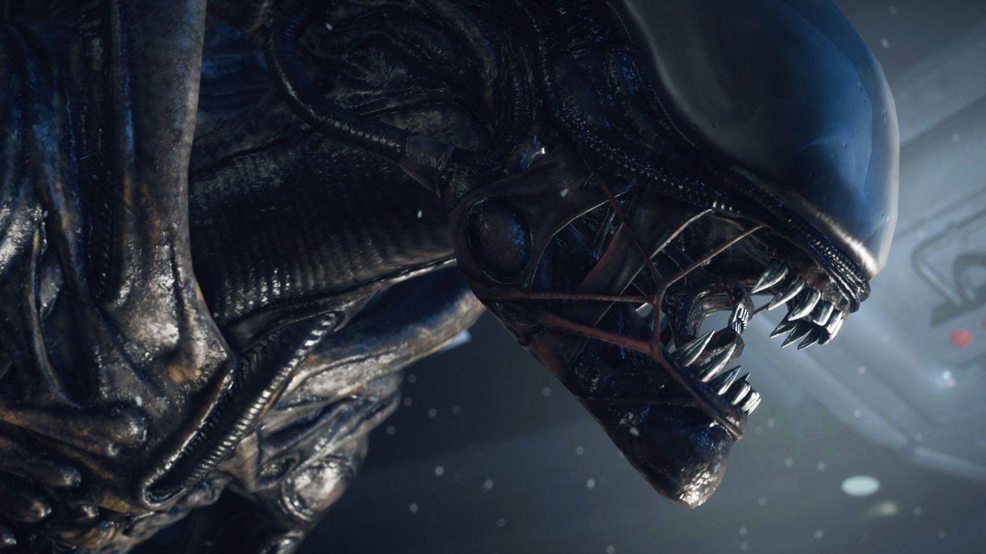 Alien 4K Wallpapers Top Free Alien 4K Backgrounds WallpaperAccess