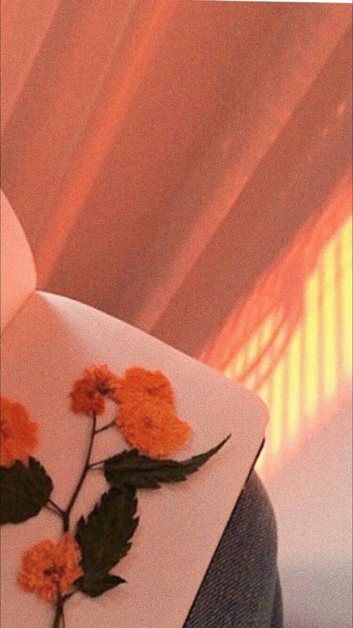 Vintage Orange Aesthetic Wallpapers Top Free Vintage Orange Aesthetic