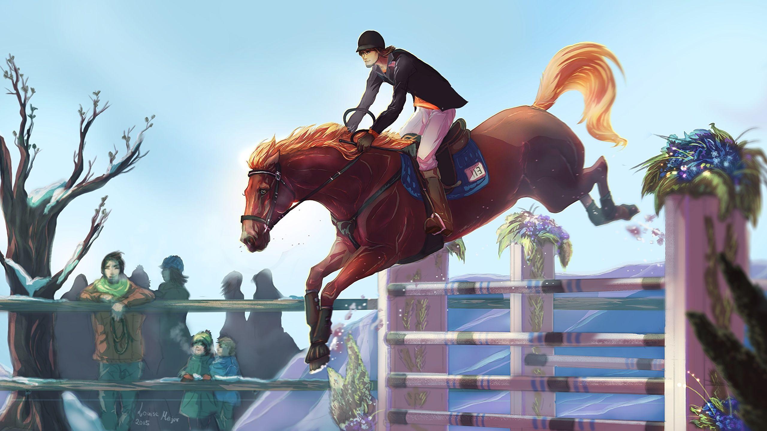 Horses Jumping Wallpapers Top Free Horses Jumping Backgrounds