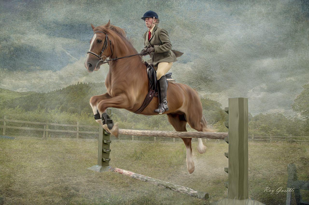 Equestrian Wallpapers Top Free Equestrian Backgrounds WallpaperAccess