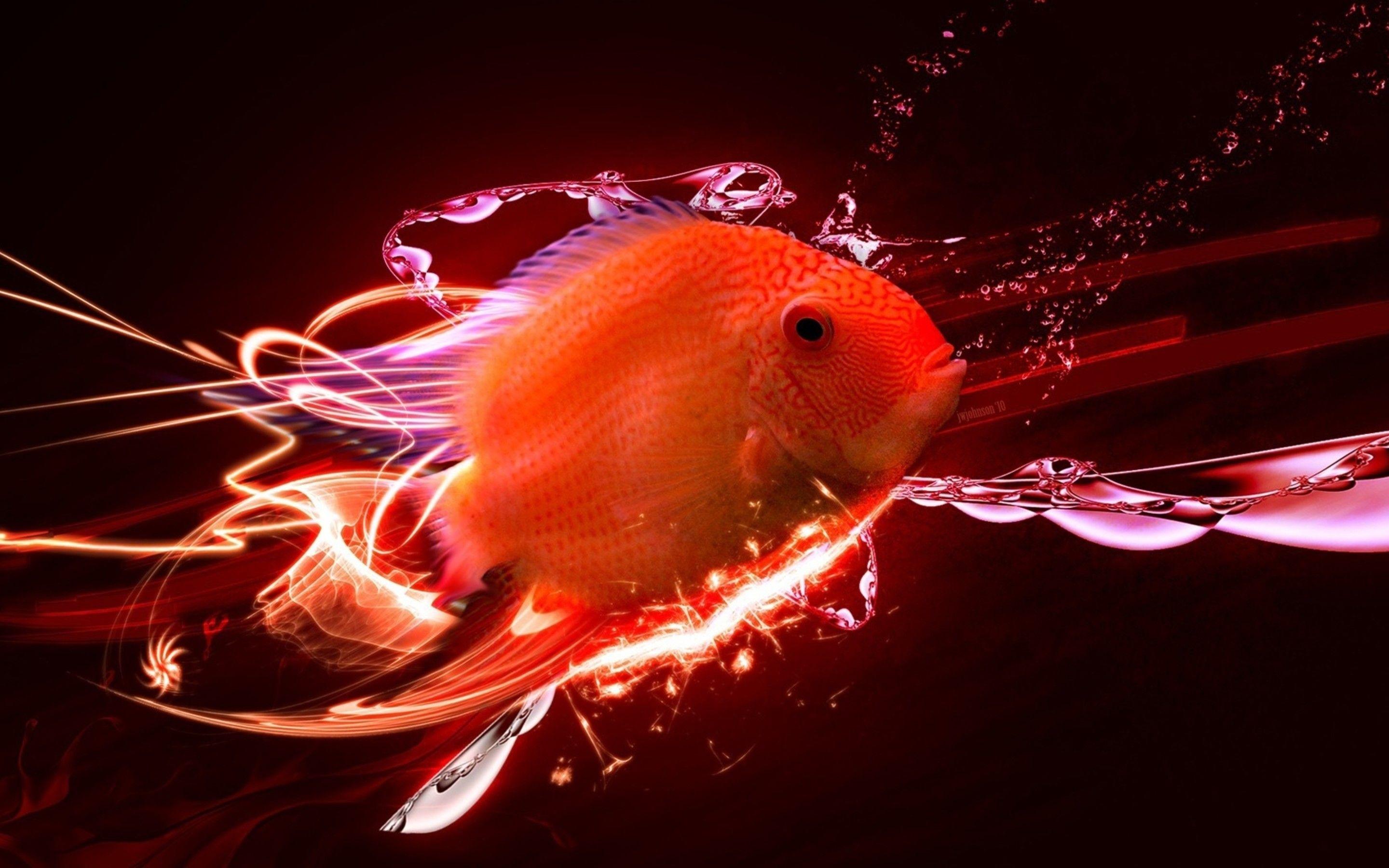 Red Fish Wallpapers Top Free Red Fish Backgrounds WallpaperAccess