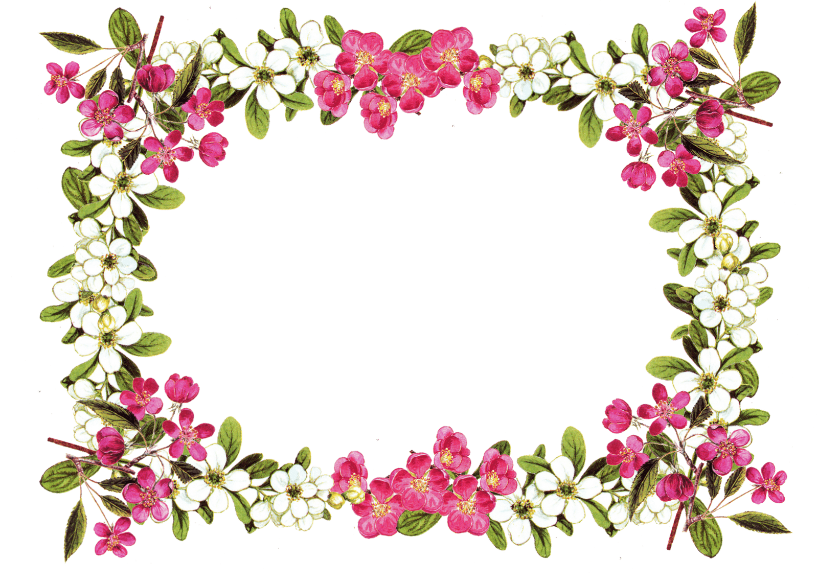 Flower Border Design Images Hd Best Flower Site