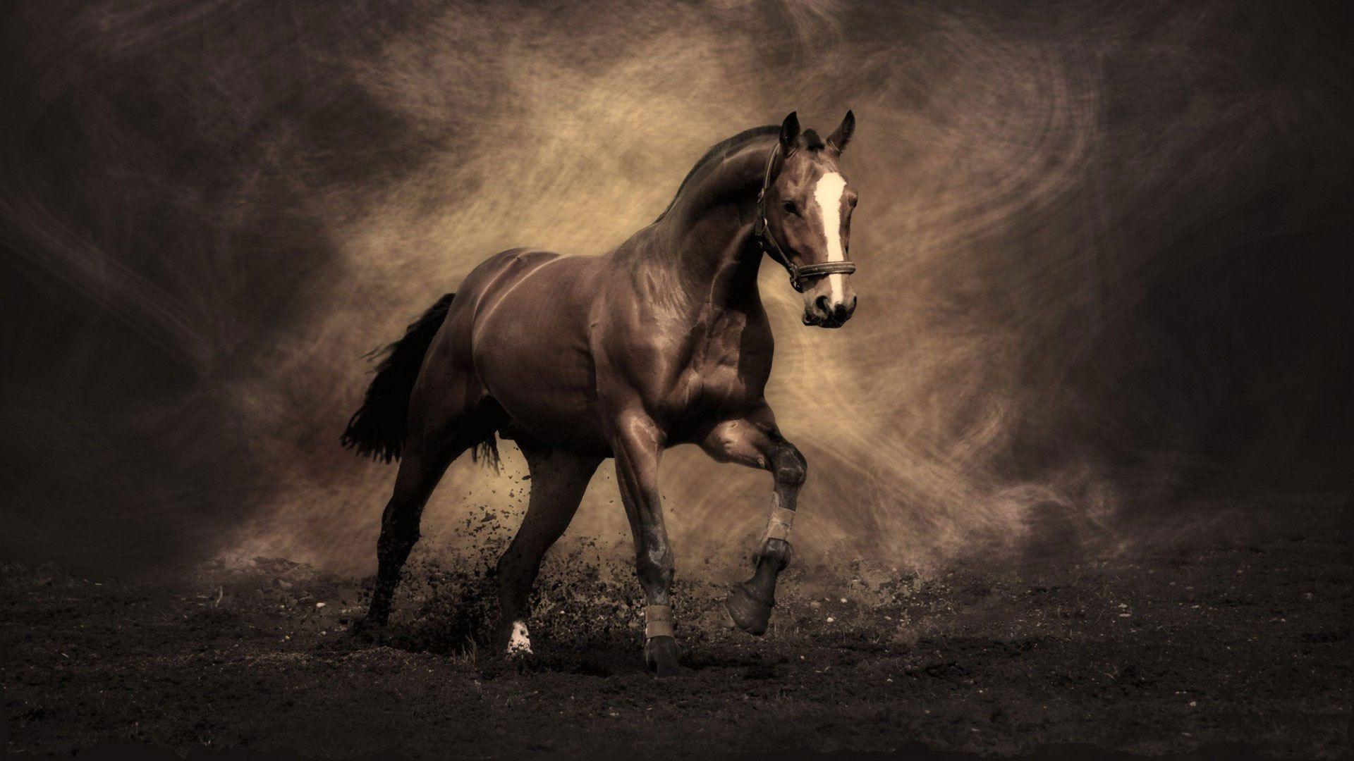 Most Famous Wallpapers Top Free Most Famous Backgrounds WallpaperAccess