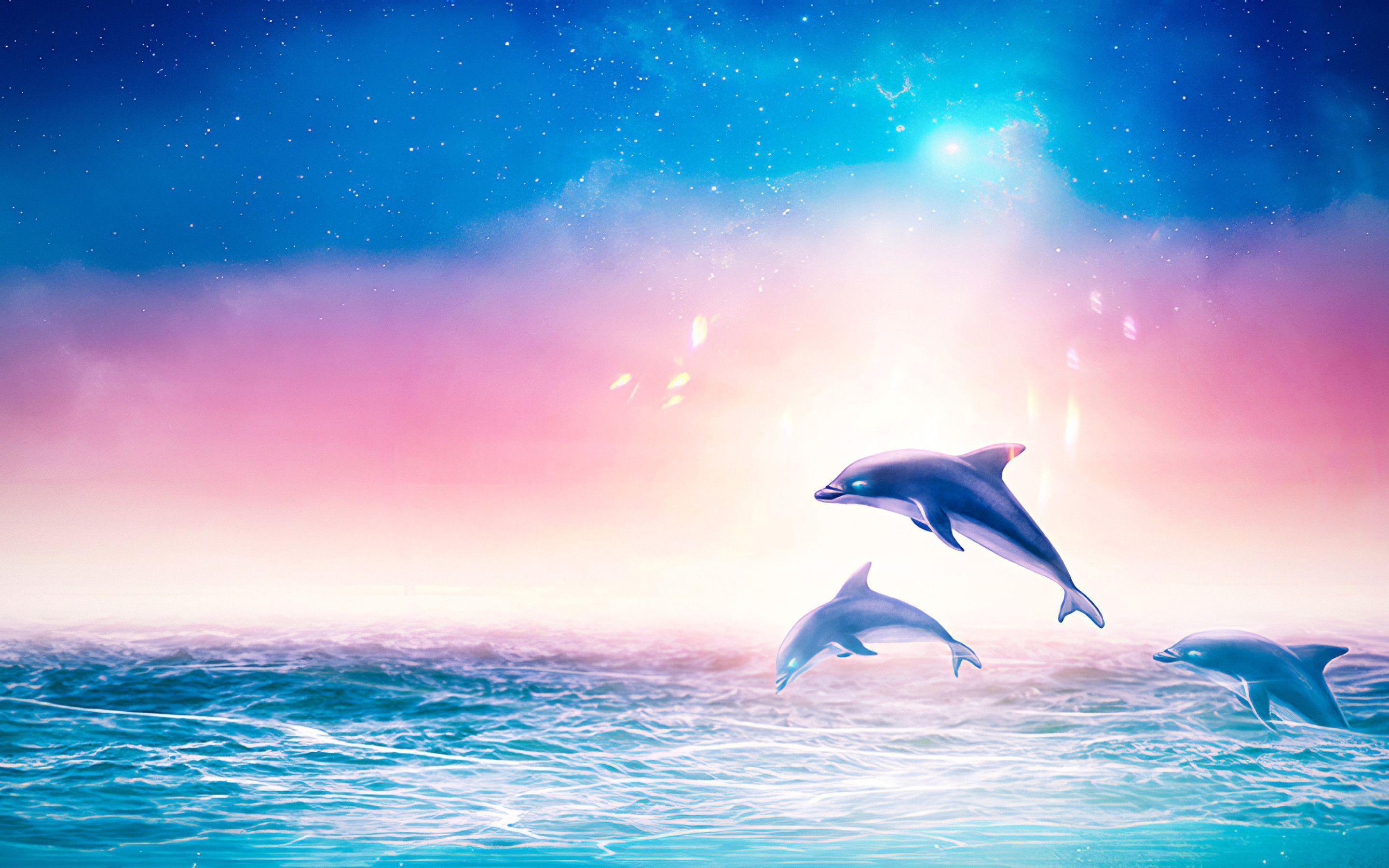 Cute Dolphins Wallpapers Top Free Cute Dolphins Backgrounds