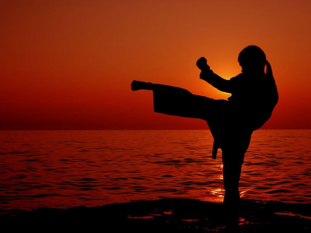 Female Martial Arts Wallpapers Top Free Female Martial Arts