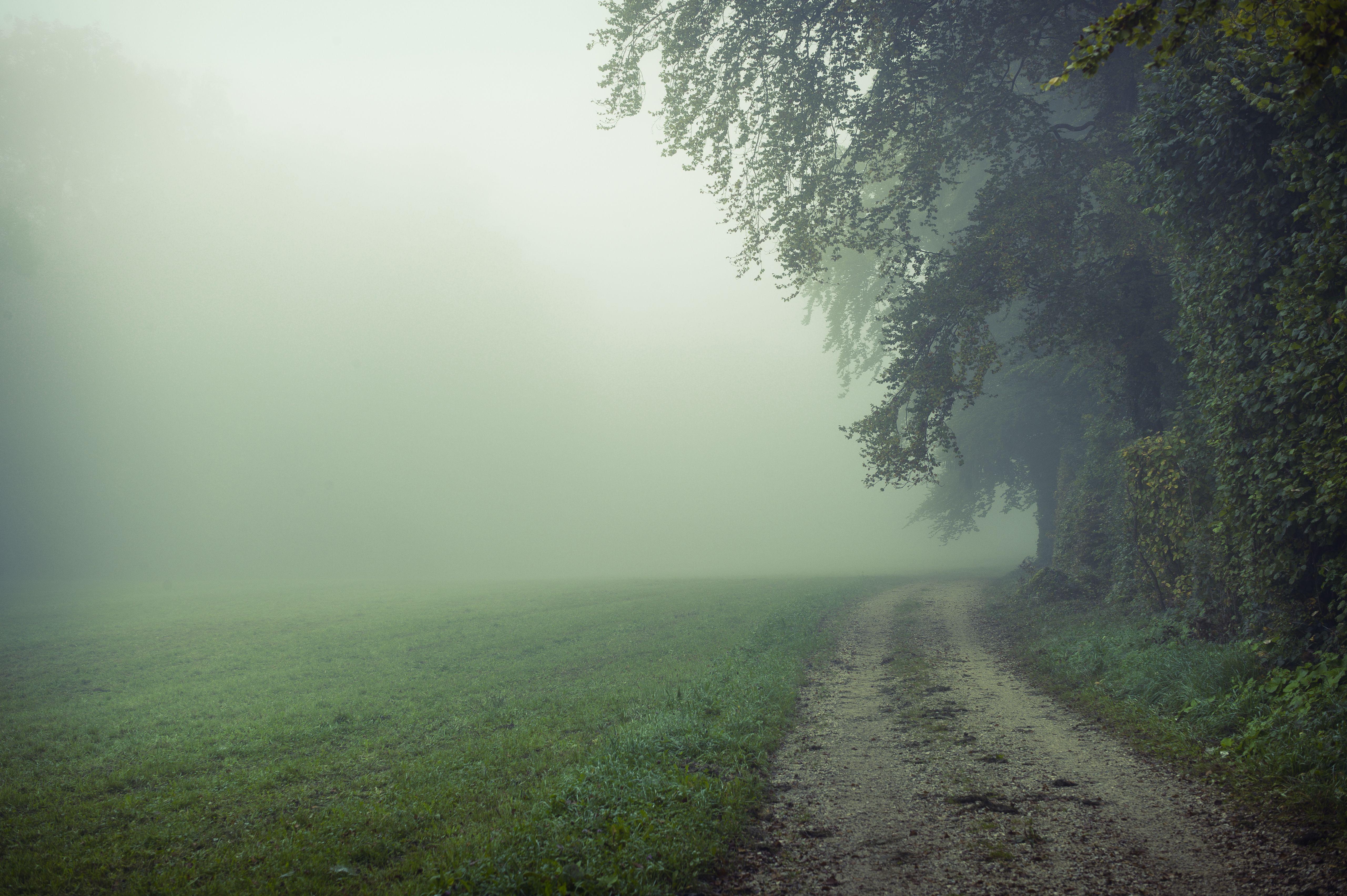 Ethereal Wallpapers Top Free Ethereal Backgrounds WallpaperAccess
