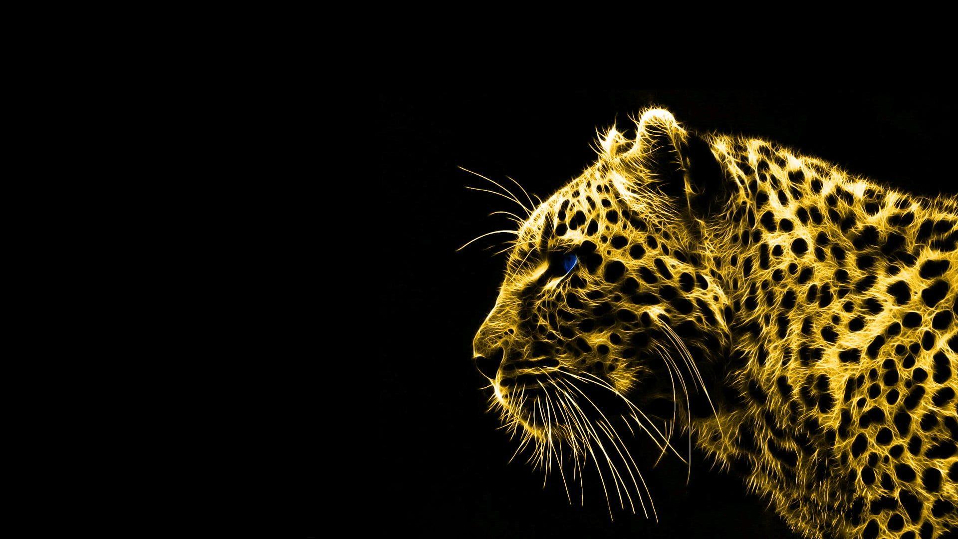 Black Cheetah Wallpapers Top Free Black Cheetah Backgrounds