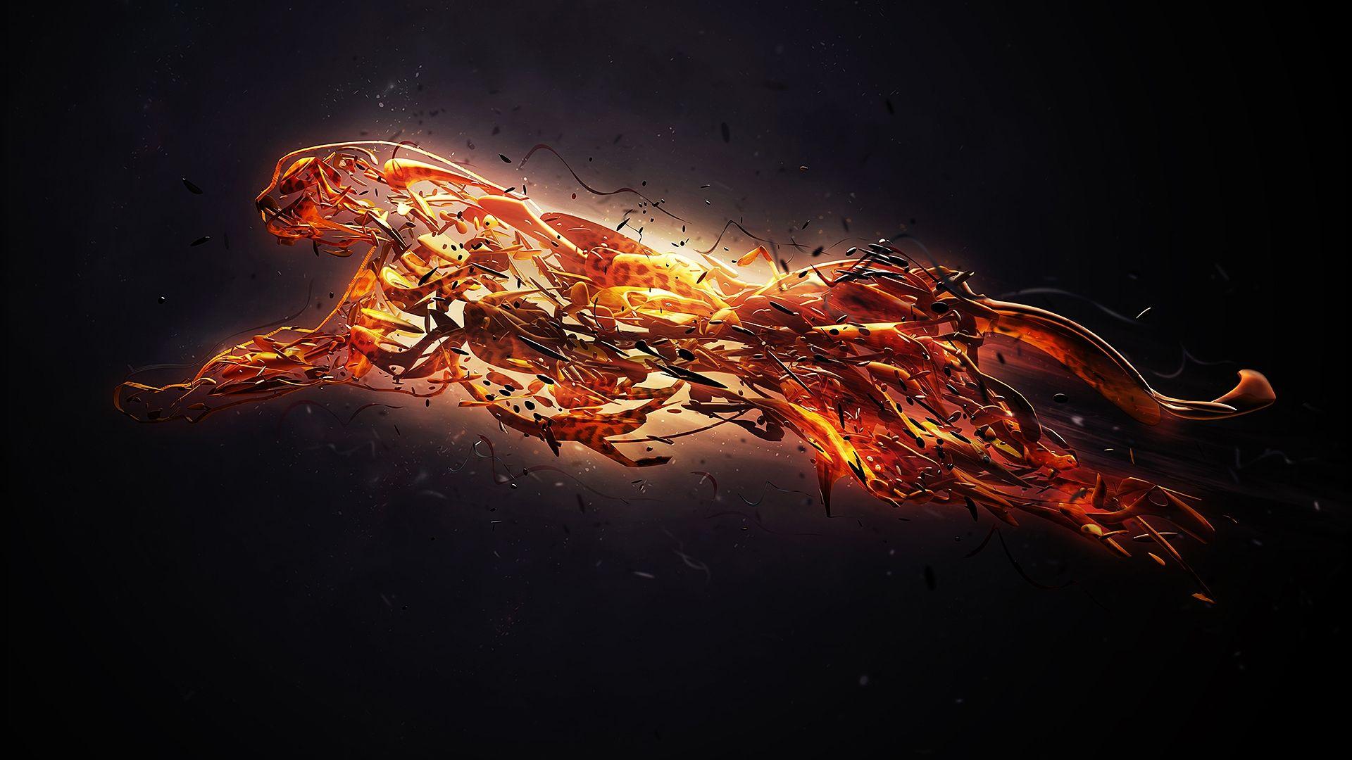 Black Cheetah Wallpapers Top Free Black Cheetah Backgrounds WallpaperAccess