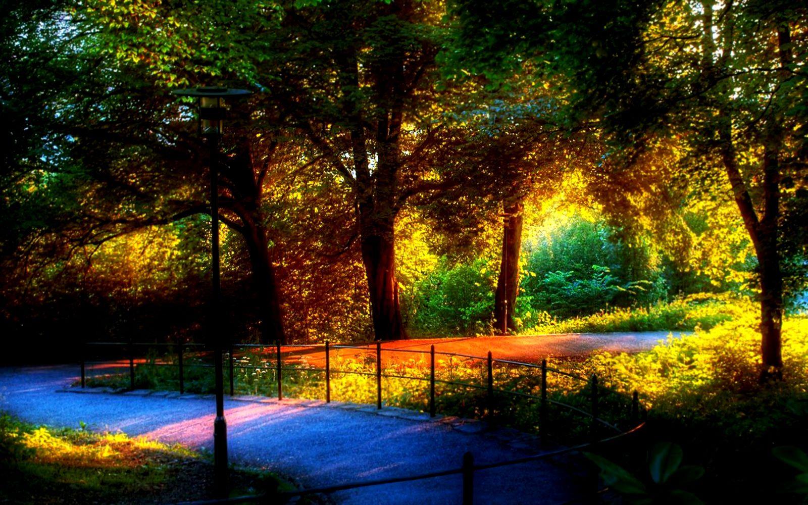 The Most Beautiful Wallpapers Top Free The Most Beautiful Backgrounds