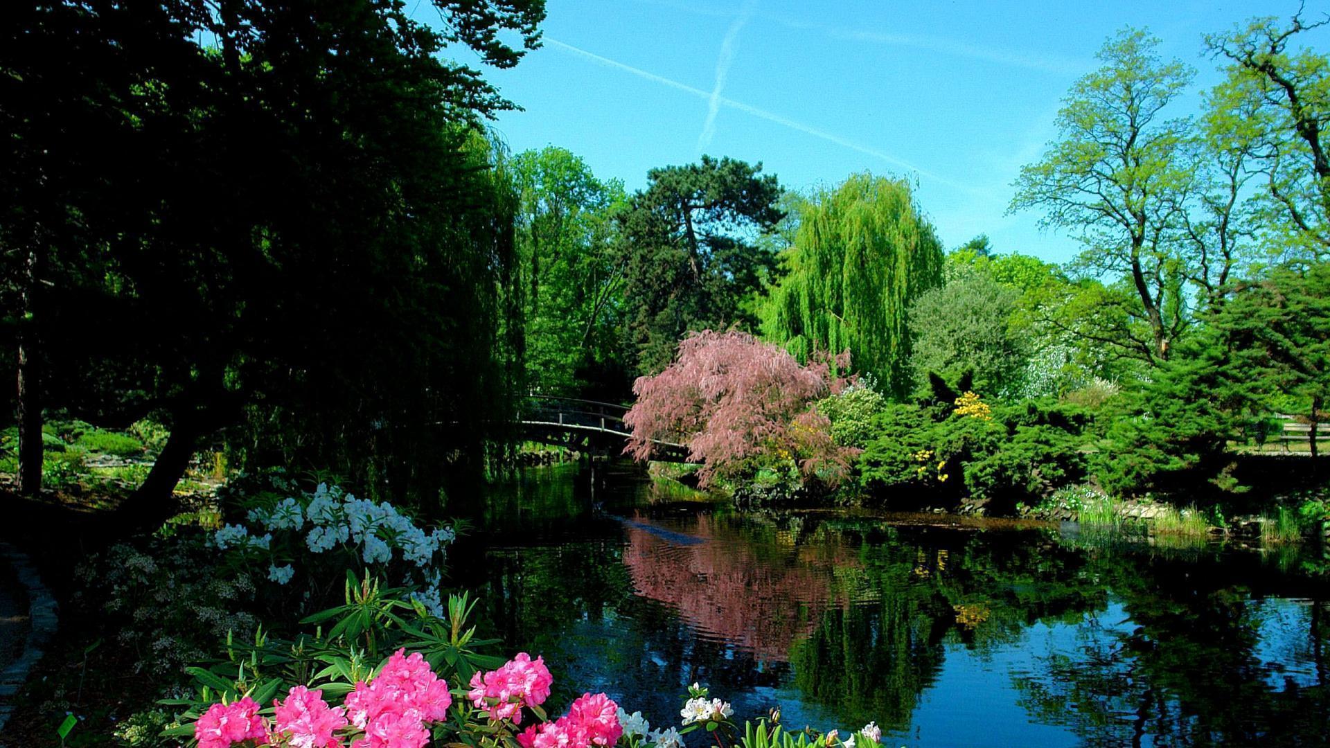 The Most Beautiful Wallpapers Top Free The Most Beautiful Backgrounds