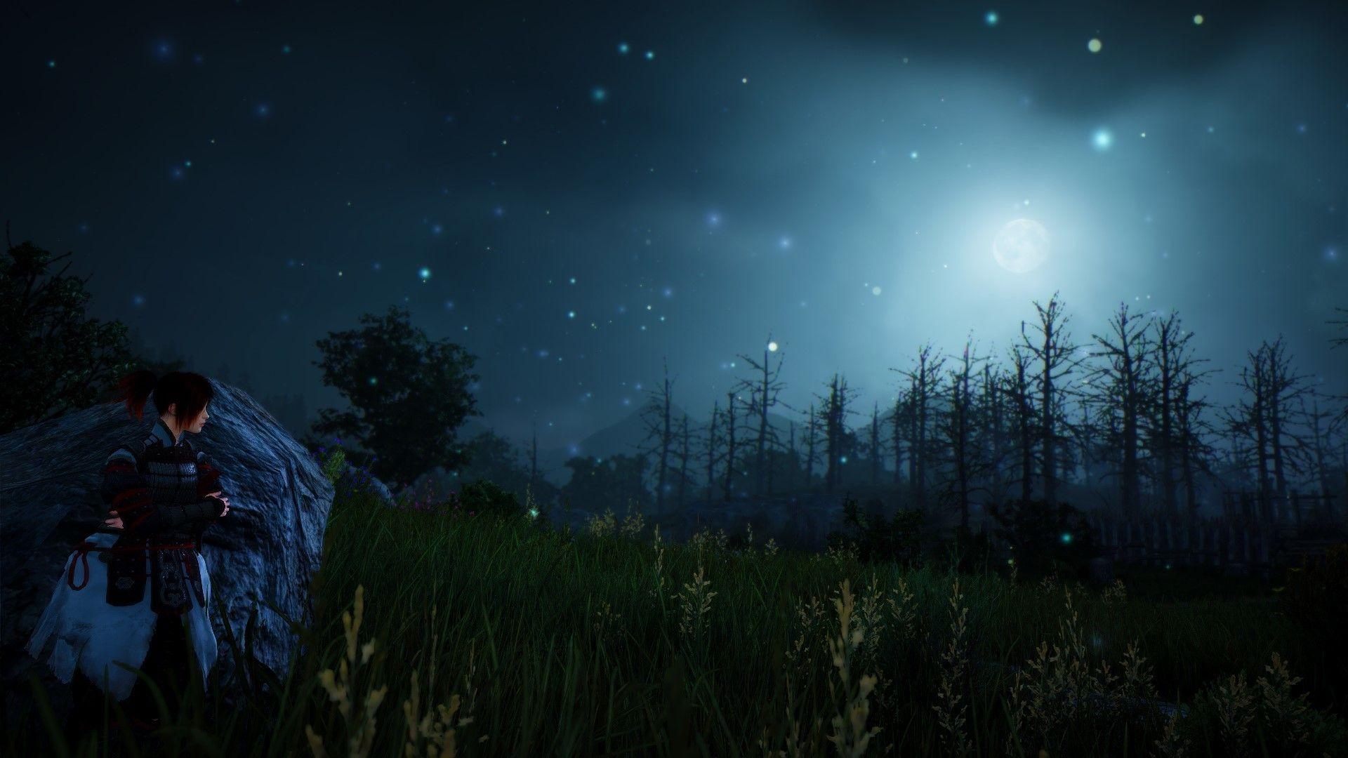 Black Desert Online Wallpapers Top Free Black Desert Online Backgrounds WallpaperAccess