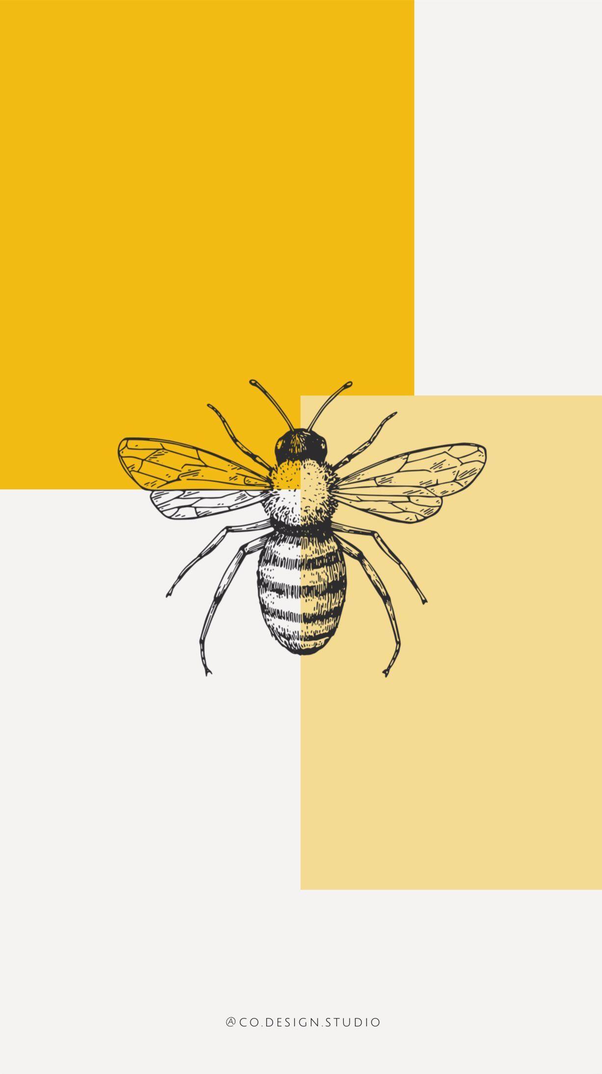 Aesthetic Bee Wallpapers bigbeamng
