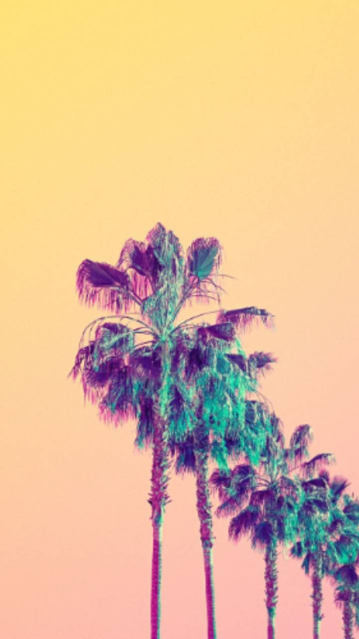 Neon Palm Tree Wallpapers Top Free Neon Palm Tree Backgrounds