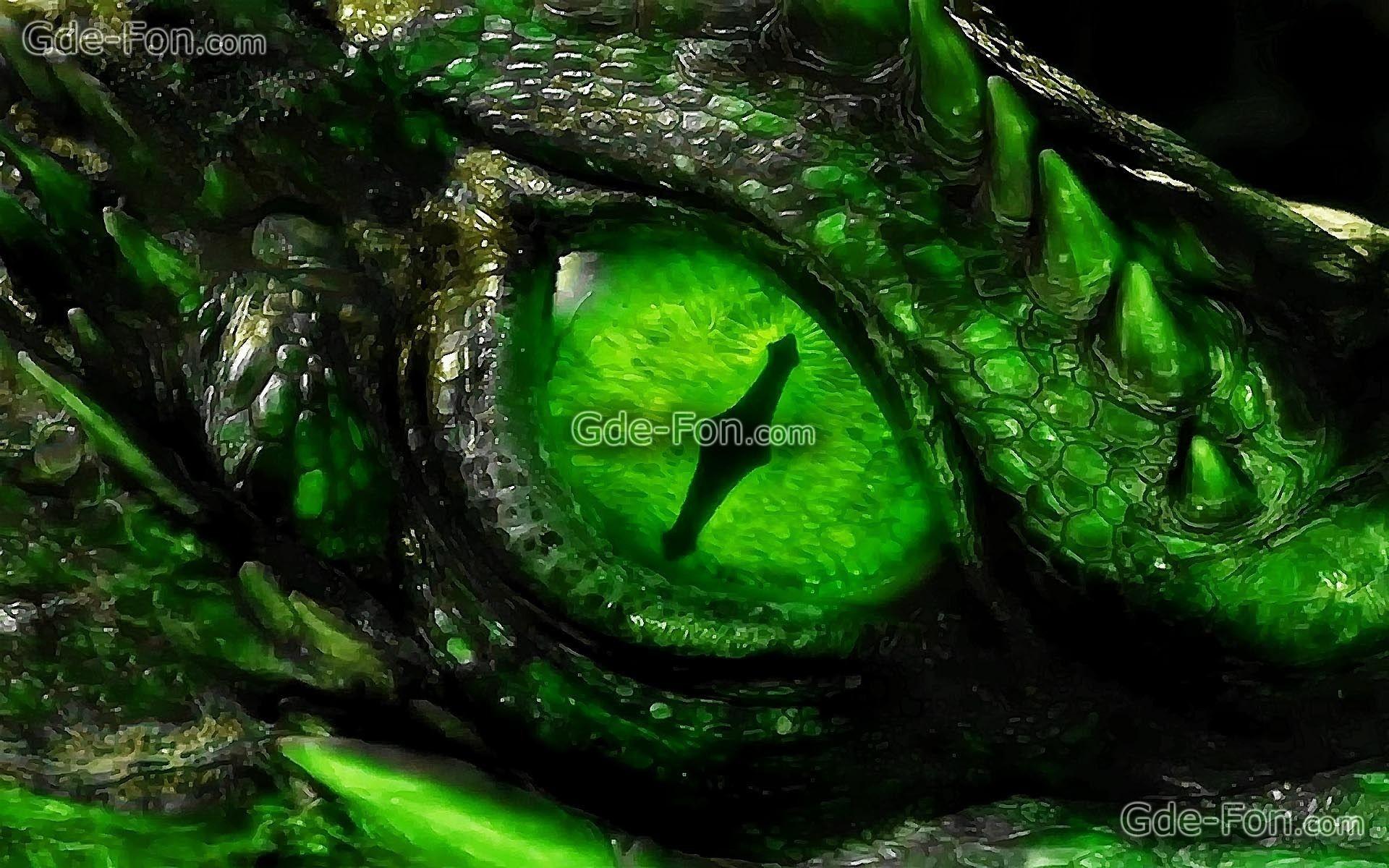 Green Dragon Wallpapers Top Free Green Dragon Backgrounds