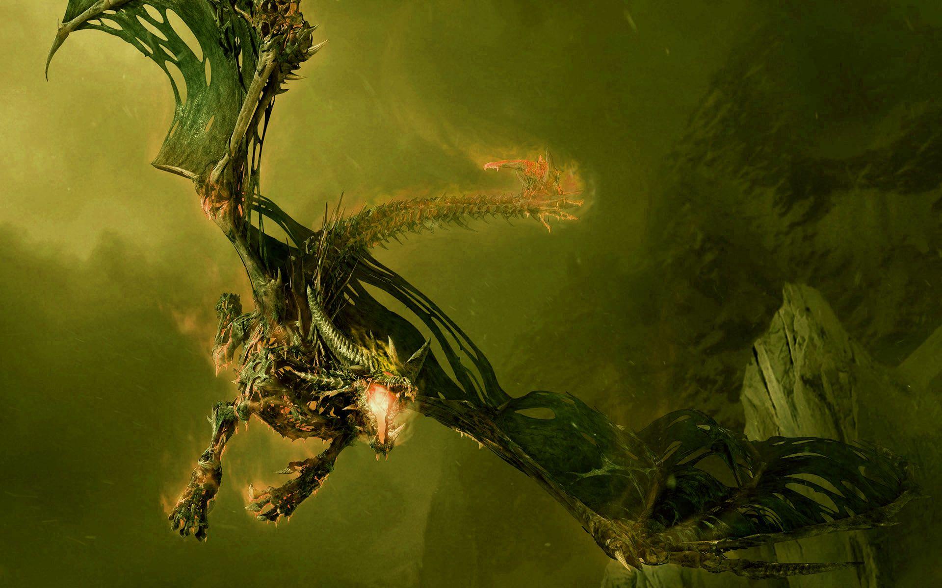 Yellow Dragon Wallpapers Top Free Yellow Dragon Backgrounds