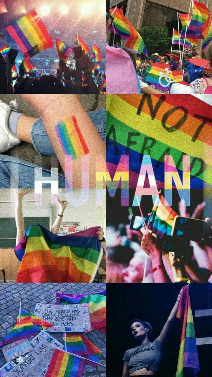 Aesthetic LGBT Rainbow Wallpapers Top Free Aesthetic LGBT Rainbow Backgrounds WallpaperAccess