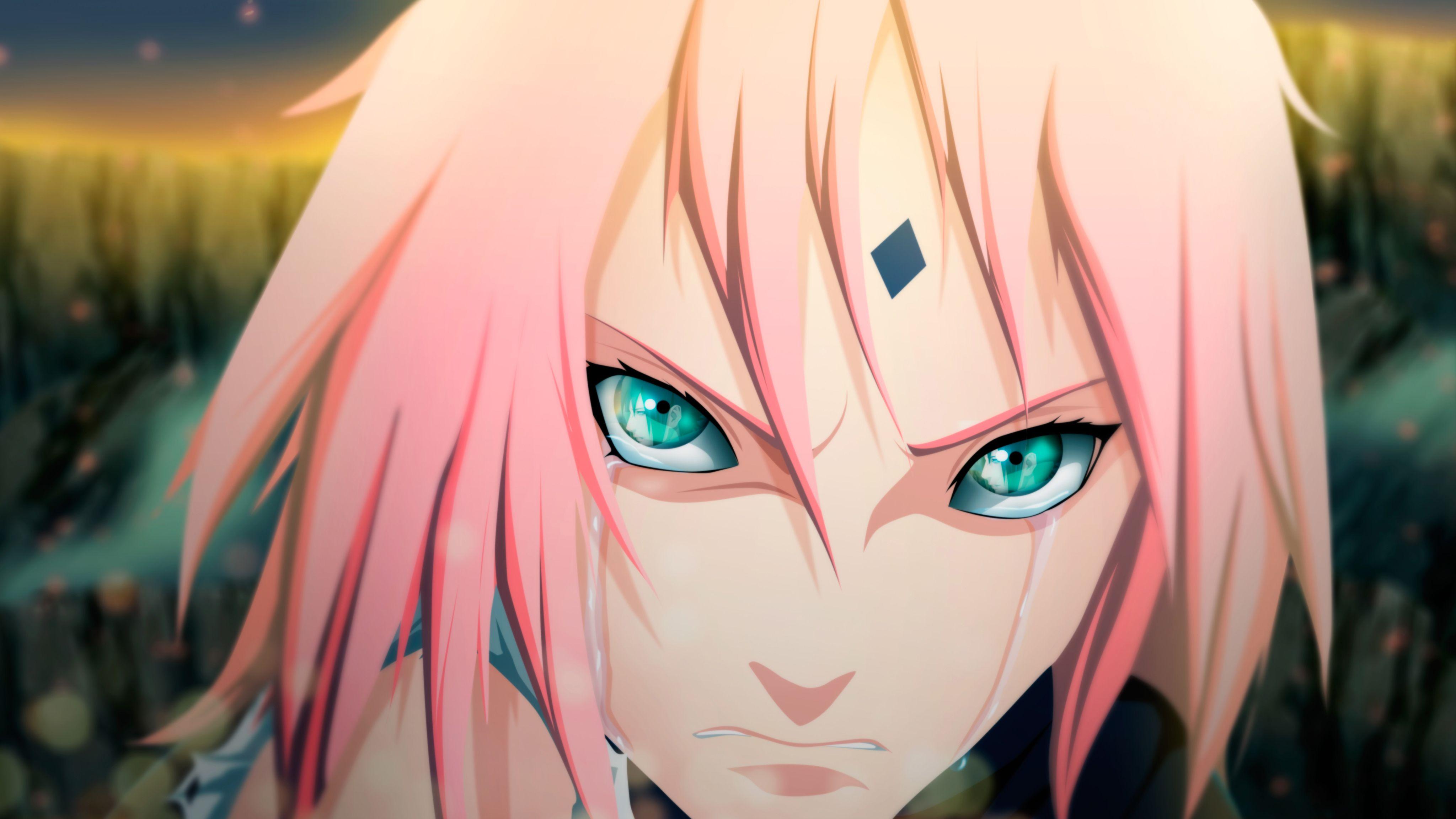 Sakura Haruno 4K Wallpapers Top Free Sakura Haruno 4K Backgrounds