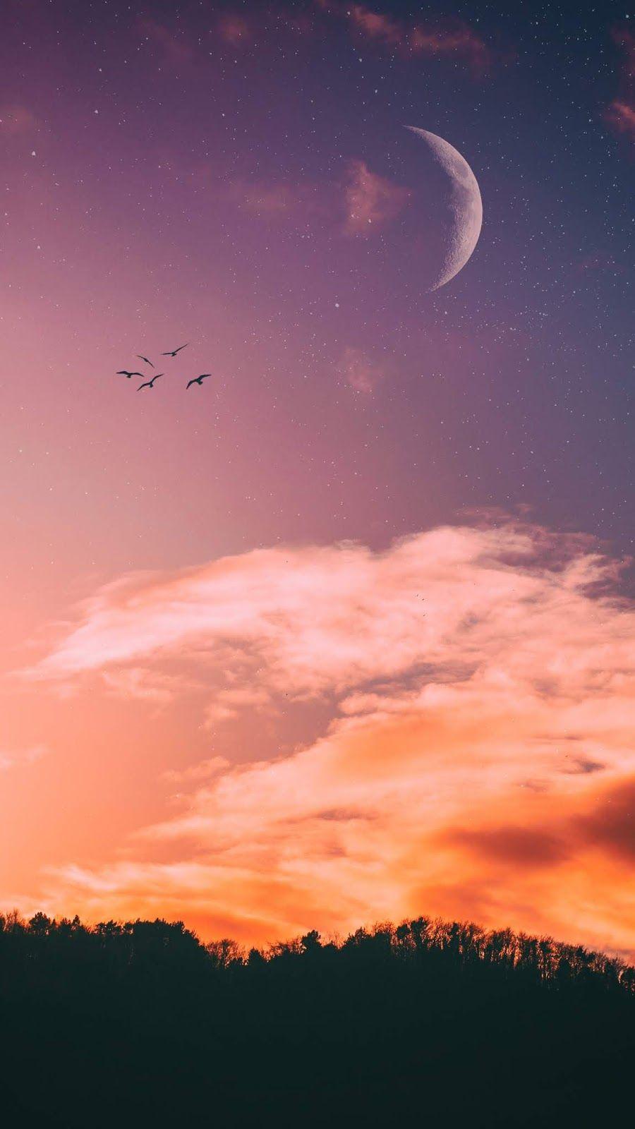 Golden Hour Aesthetic Laptop Wallpaper