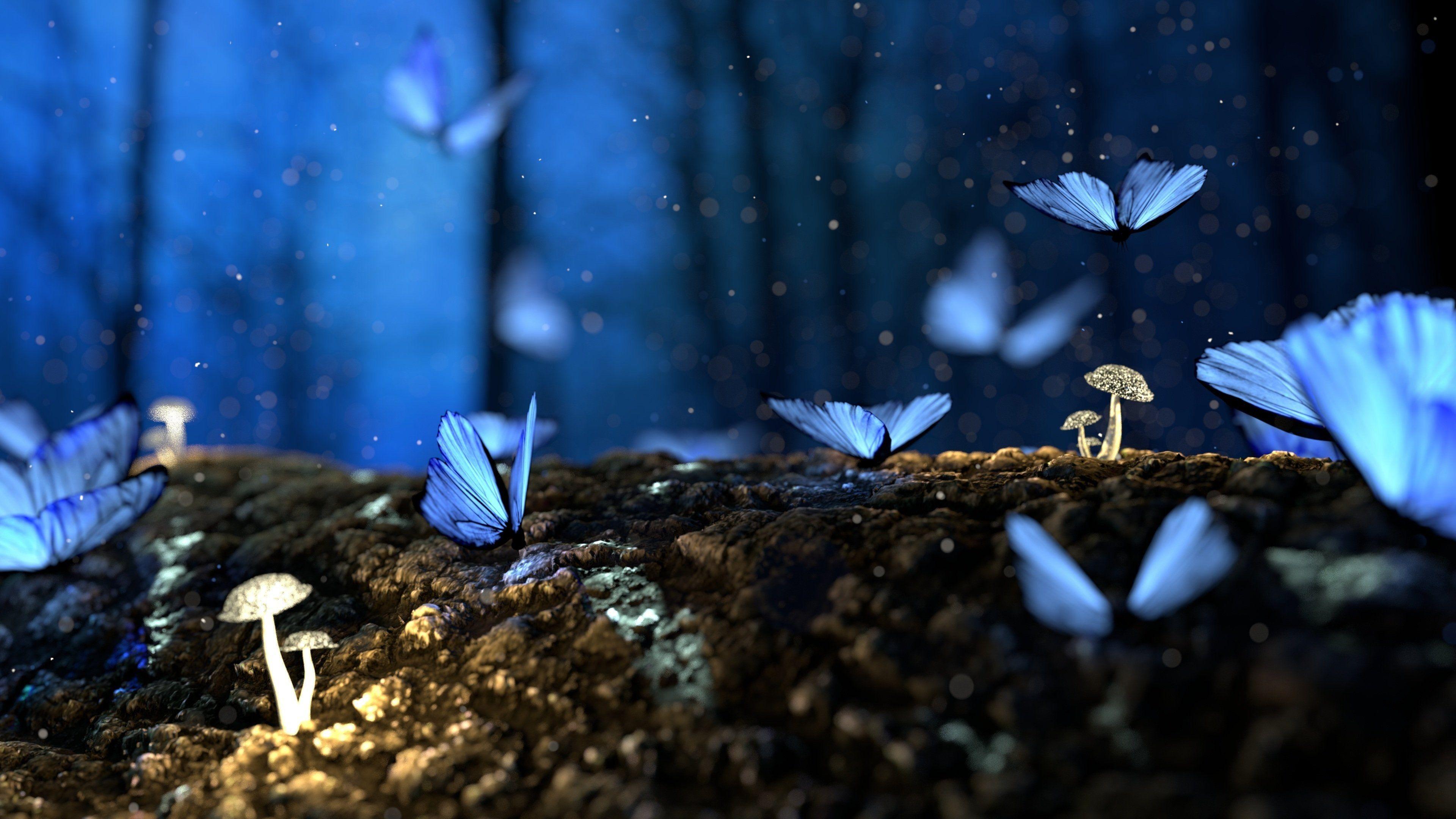Blue Butterfly HD Wallpapers Top Free Blue Butterfly HD Backgrounds