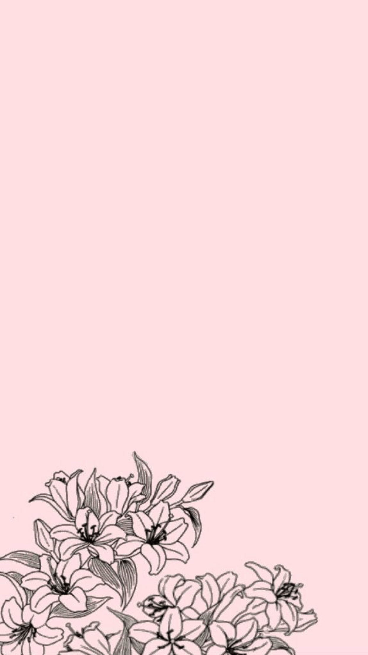 Aesthetic Cute Pastel iPhone Wallpapers Top Free Aesthetic Cute