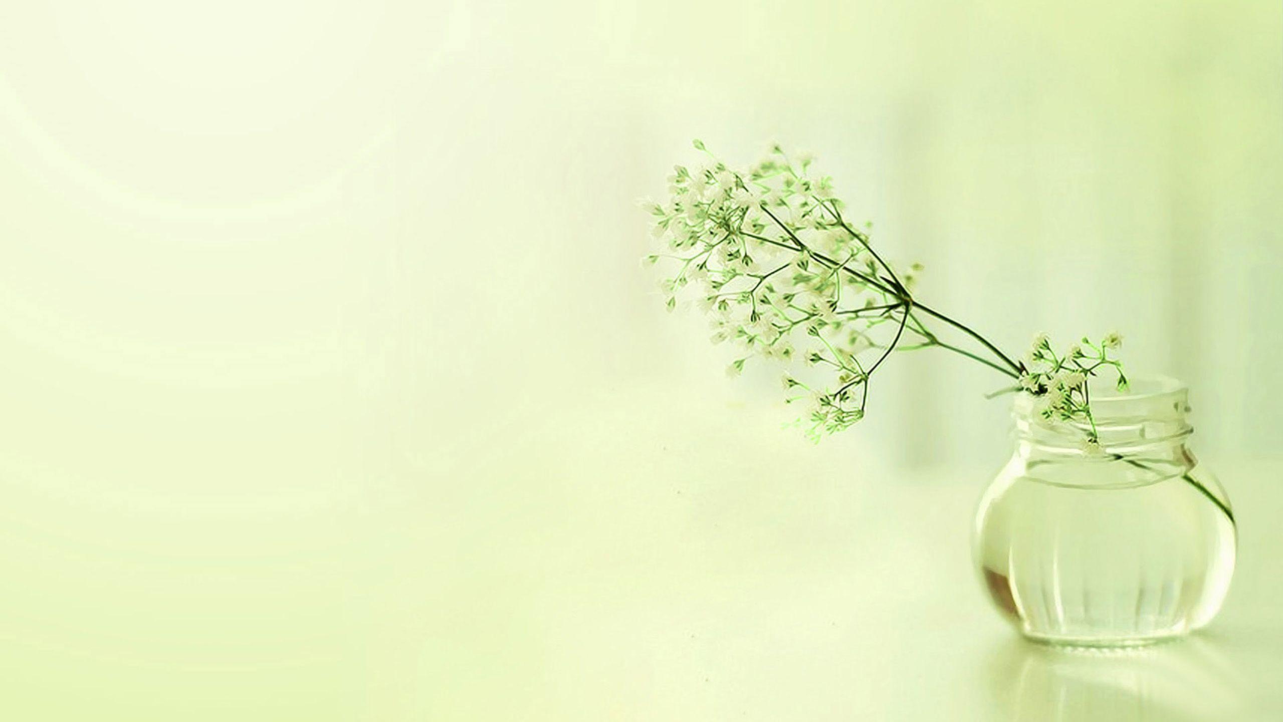 Elegant Desktop Wallpapers Top Free Elegant Desktop Backgrounds