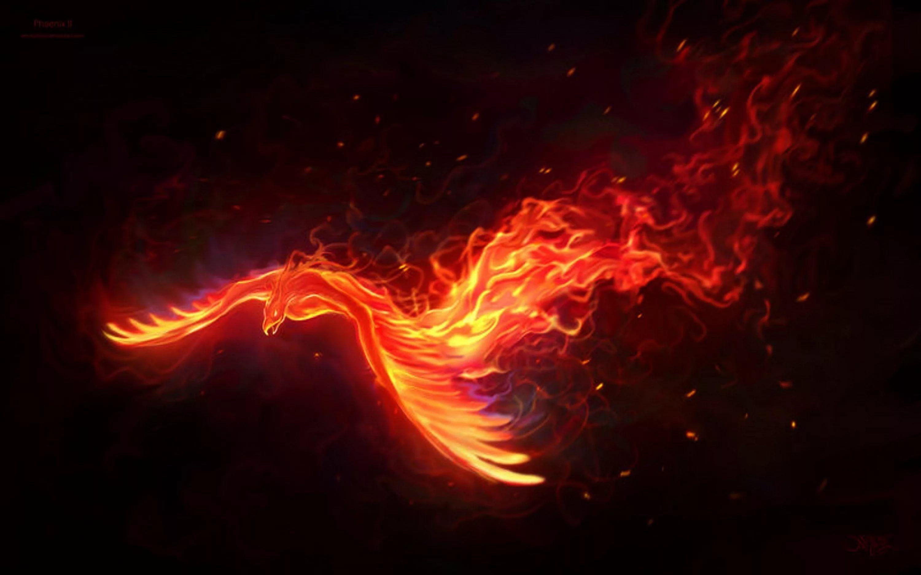 Phoenix Wallpapers Top Free Phoenix Backgrounds WallpaperAccess