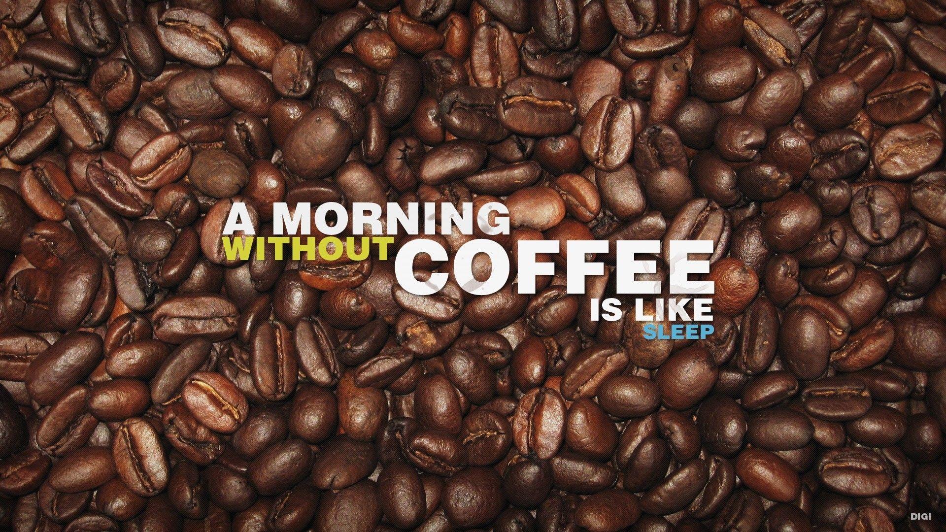 Funny Coffee Wallpapers Top Free Funny Coffee Backgrounds WallpaperAccess